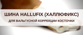 шина